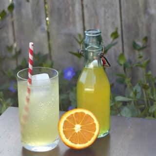 Boisson gazeuse façon Orangina au Thermomix