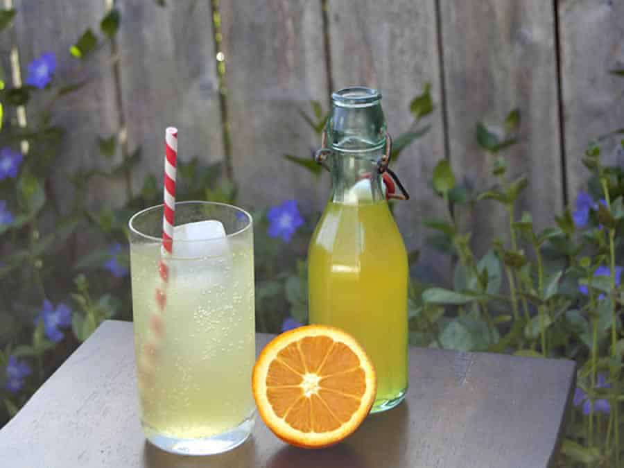 Boisson gazeuse façon Orangina au Thermomix