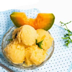 Sorbet melon au Thermomix